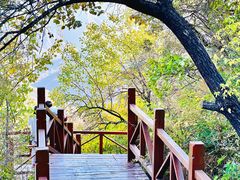 -大岭沟猕猴桃谷风景区