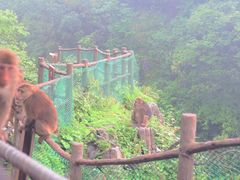 -峨眉山风景名胜区