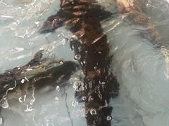 -胖姐渔村(中源大道店)