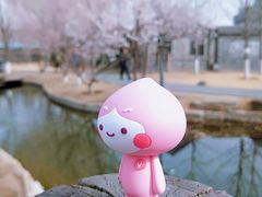 -三里河公园