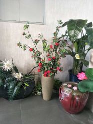 -翎兰瑜伽·普拉提