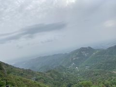 -木兰云雾山