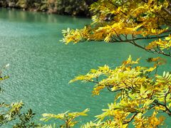 -叠溪松坪沟景区