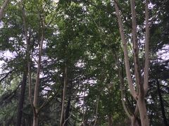 -陕西民俗大观园