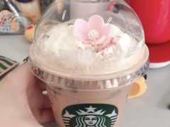 樱花星冰乐-星巴克(天津滨海国际机场1店)