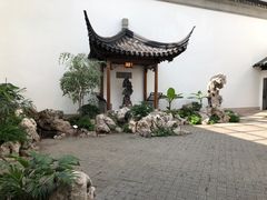 -美国自然历史博物馆