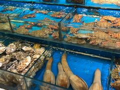 -岳各庄批发市场(西四环中路店)