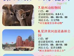 -泉城欧乐堡梦幻世界