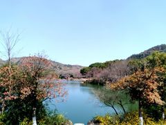 -白马涧龙池景区