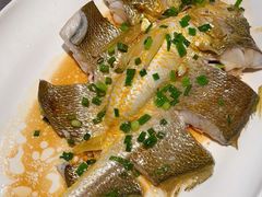 -1937青岛老味道·海肠捞饭·青岛菜(大鲍岛栈桥店)