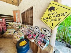 -大象粑粑造纸公园