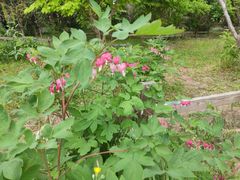 -长春公园(普阳街道)