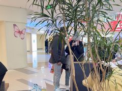 -野人先生Gelato(上海长宁龙之梦店)