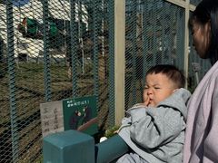 -无锡动物园·太湖欢乐园