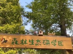 -东平国家森林公园
