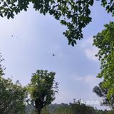 风筝篇 疫情过后回到深圳 第一逛的地方就来到了莲花山