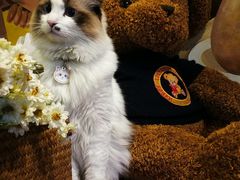 -咖法森林·咖啡  酒吧(天河店)