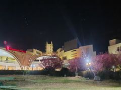 -泰安东尊华美达广场酒店(泰山景区店)