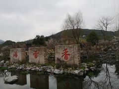 -香雪海