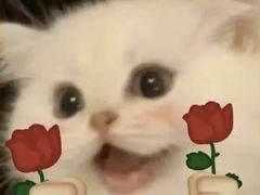 -阿K桌球(萧山汇金中心店)