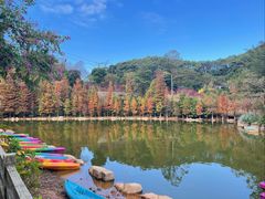 -广州市帽峰山景区