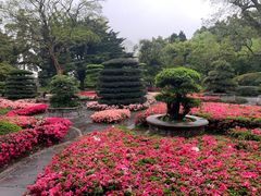 -都江堰景区