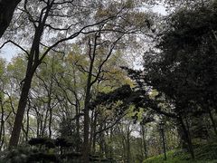 -南山植物园