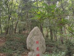 -上海佘山国家森林公园天马山园