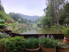 -深圳仙湖植物园