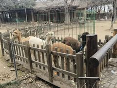 -南昌动物园