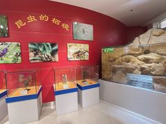 -上海昆虫博物馆