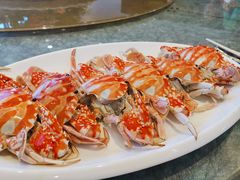 -欢乐海岸美食联盟