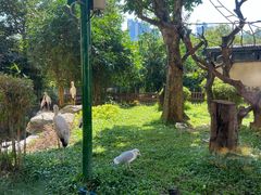 -熊猫自助餐厅.萌趣城堡(长隆熊猫酒店)