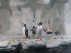 -南昌海洋公园