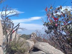 -崂山巨峰游览区