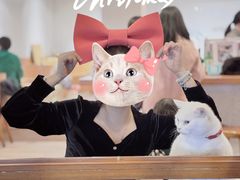 -有猫主题·治愈系猫咖(曾厝垵店)