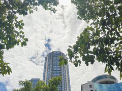 -重庆希尔顿酒店