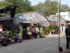 -金陵花卉交易市场