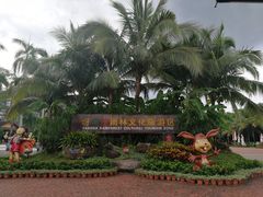 -呀诺达热带雨林