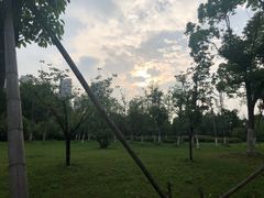 -天鹅湖体育公园