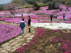 -棒棰岛宾馆景区