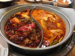 -青瓷火锅料理(西单大悦城店)