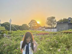 -苏州太湖西山岛开心农场