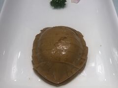 -席家花园(巨鹿花园店)