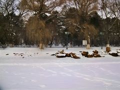 -长春市南湖公园