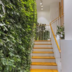 -悦诗风吟innisfree