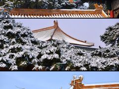 -故宫博物院(故宫)