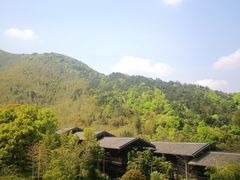 -大唐贡茶院