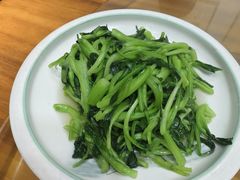 -小小饭店·休闲农庄·安吉松树林里的农家菜