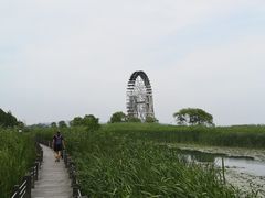 -太湖湖滨国家湿地公园-停车场